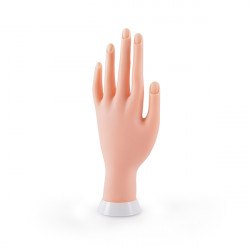 Bifull Main Flexible Pour Pratiques Flexible Hand