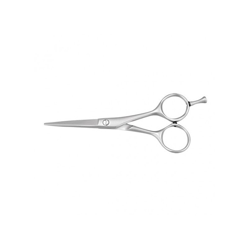 Bifull Ciseaux de Coupe Style 5"