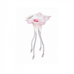 Bifull Alpha White Carrello Ausiliario Traslucido