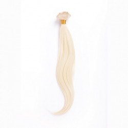 Bifull Coleta Lisa 50cm Mod 613 Rubio Platino Natural