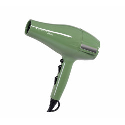 Perfect Beauty Professioneller Haartrockner mit UV-Licht Dryer Grün