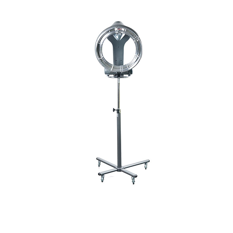 Perfect Beauty Lampe en Quartz à Pied Quartz Ipsum Gris Perfect Beauty Lampe en Quartz à Pied Quartz Ipsum Gris