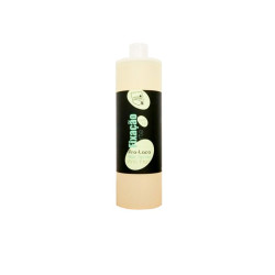 Real Natura Pro-Laca Fixation Forte Sans Gaz (Recharge) 1000ml