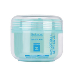 Emulsione Dermocalmante Salerm (200ml)