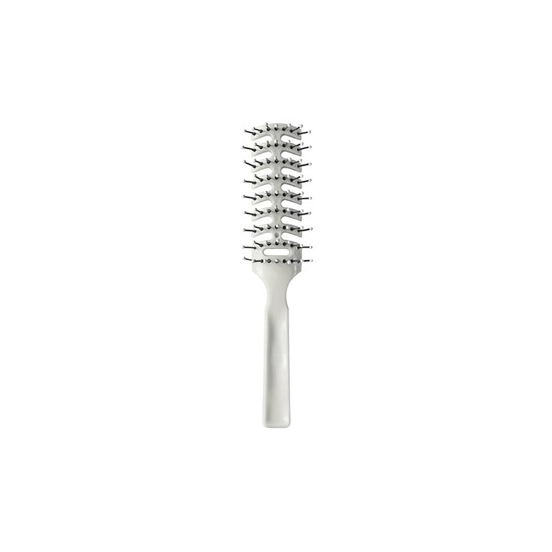 Bifull Couleurs Brosse Squelette