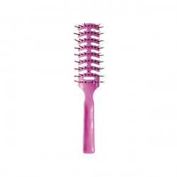 Bifull Couleurs Brosse Squelette