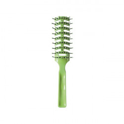 Bifull Couleurs Brosse Squelette