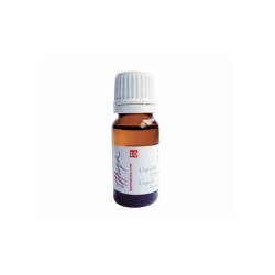 Thuya Liquide Primer (30ml)