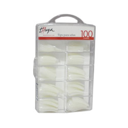 Thuya Tips Boîte (100und)