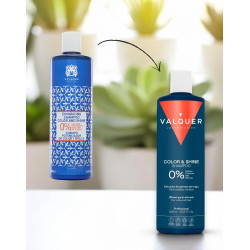 Shampoo Valquer Color e Lucentezza Zero (400ml)