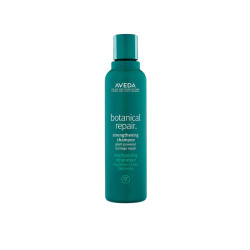 Shampoing Fortifiant Aveda Botanical Repair