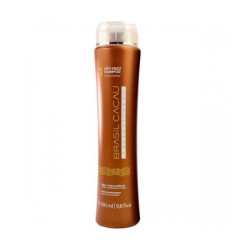 Brazil Cacau Anti Frizz Shampoo (300ml)