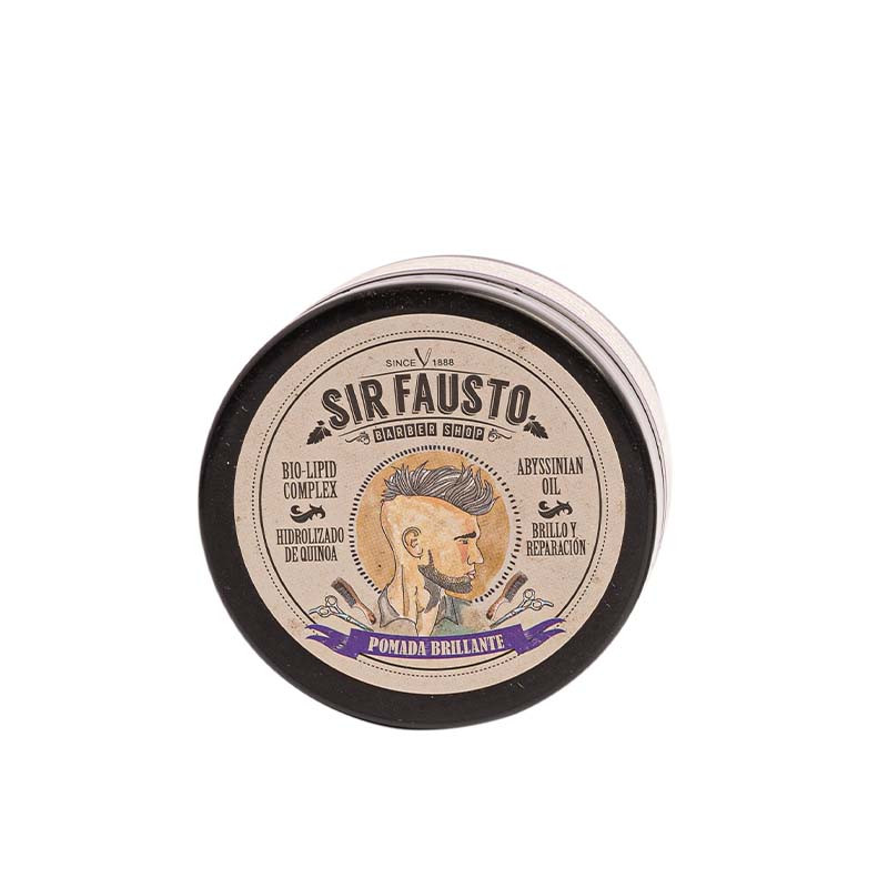 Sir Fausto Pomade Glänzend