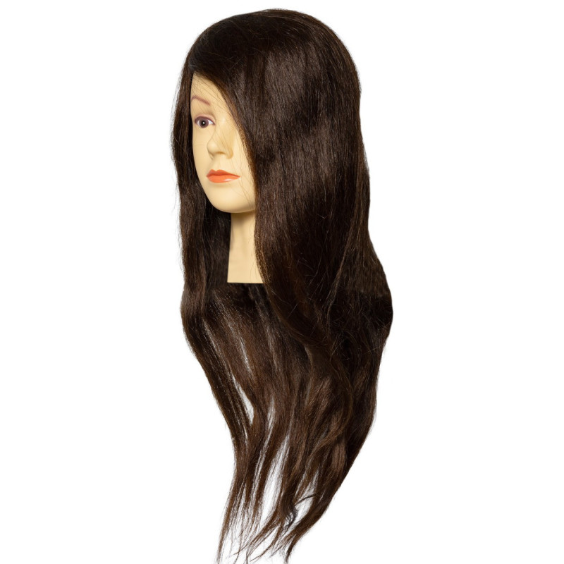 Steinhart Mannequin Head for Natural Hair Academy 50-55 cm