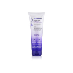 Giovanni 2Chic Reparierendes Shampoo (250ml)