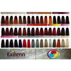 Exitenn Color Cream (60ml)