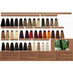 Exitenn Permanente Farbe geruchlos und ohne Ammoniak (60ml)