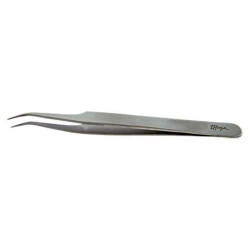 Thuya Forceps Extensions courbes