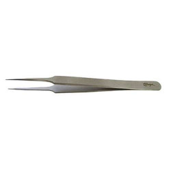 Thuya Extensions droites forceps