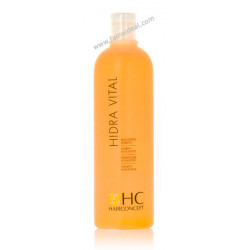Hairconcept Hydra-Vital-Shampoo (500ml)