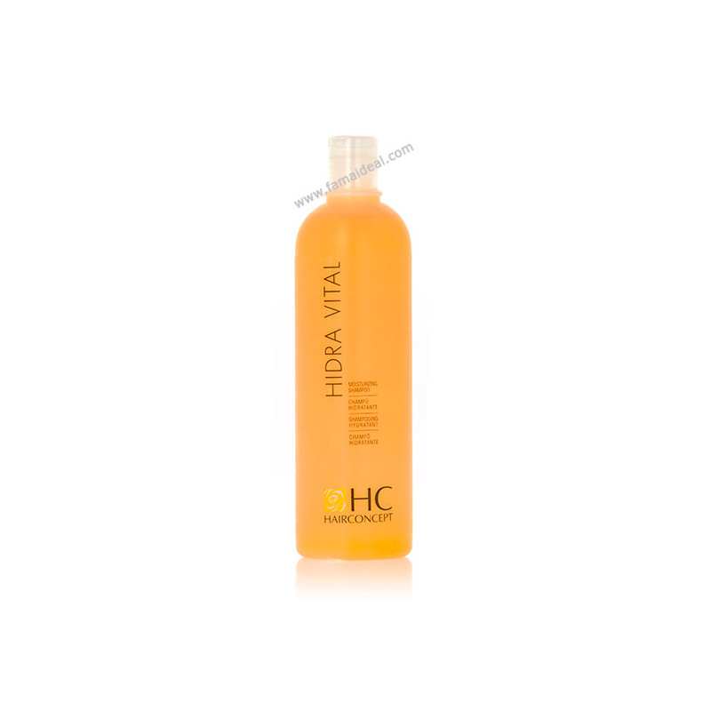 Hairconcept Champú Hidra Vital (500ml) Hairconcept Champú Hidra Vital (500ml)