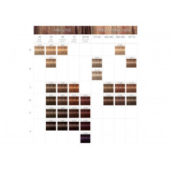 Schwarzkopf Color Igora Royal Absolute Coloration (60ml)