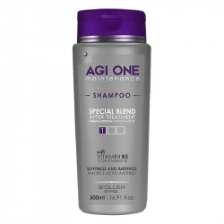 Agi One Intenseliss Champú Mantenimiento (500ml)