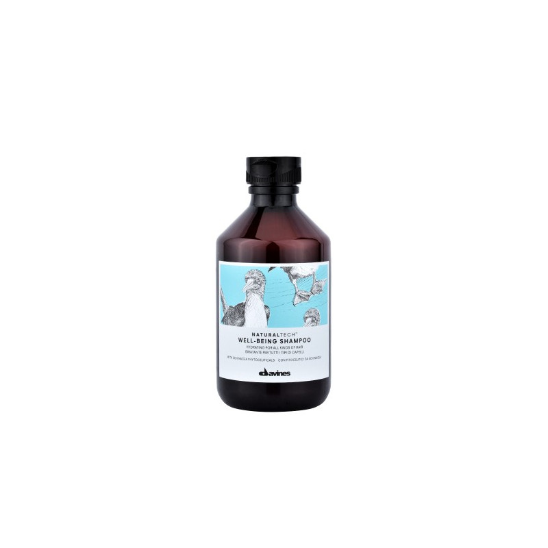 Davines Naturaltech Well Being Shampoo Davines Naturaltech Well Being Shampoo