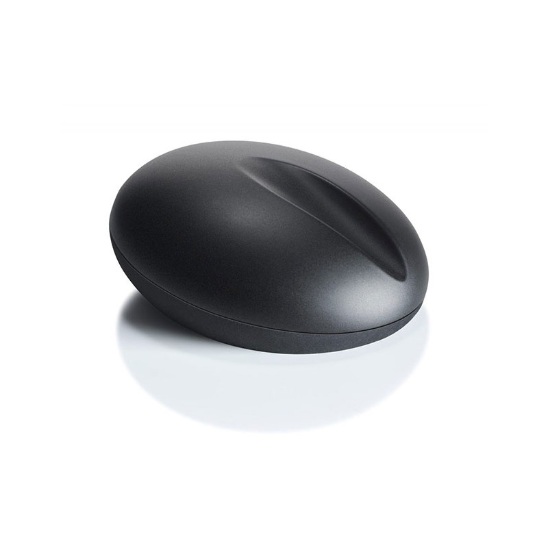 Bolin Webb Support R1 Gravity Noir