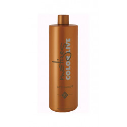 Torroglosa Techniciens Matizes Color Live Activator (20vol)