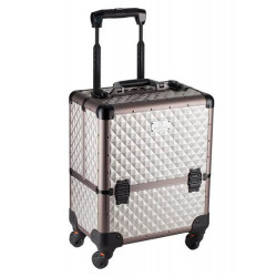 D'Orleac Valigia Media con Trolley in Titanio