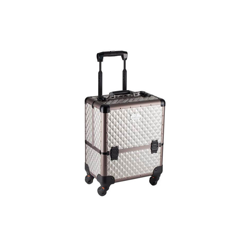 D'Orleac Valigia Media con Trolley in Titanio