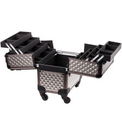 D'Orleac Valigia Media con Trolley in Titanio