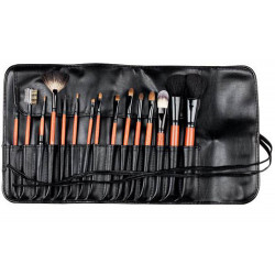 D'Orleac Coperta con 15 Pennelli