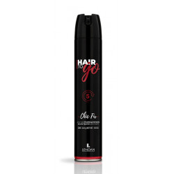 Lendan Hair To Go Chic Fix, Laque Fixation Extra Forte (500ml)