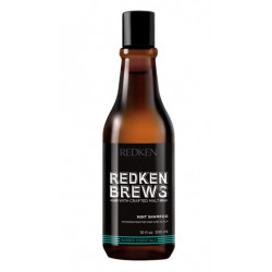 Redken Brauen Minz-Shampoo