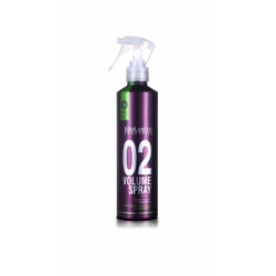 Salerm Pro-Line Volume Spray 02 (250ml)