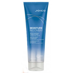 Joico Moisture Recovery Conditioner
