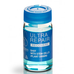 Lendan Recupero Ultra Riparazione (6x10ml)