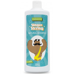 Valquer Ingwer Ingwer Starkes Shampoo (1000ml)