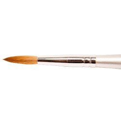 Thuya Pinsel nº10