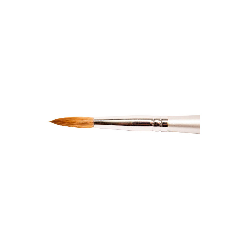 Thuya Pinsel nº10