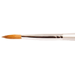 Thuya Pinsel nº 6
