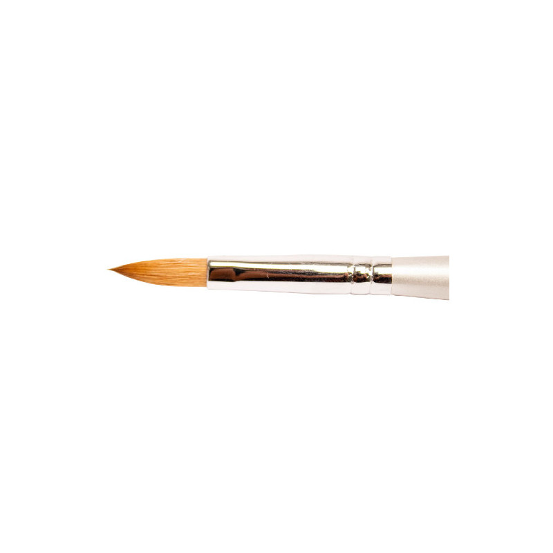 Thuya Brush nº 8