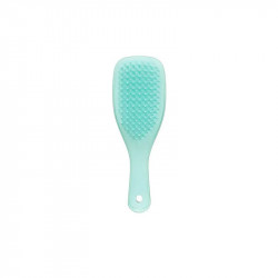 Tangle Teezer Mini Wet Sea Green