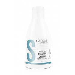 Salerm Hairlab Dermocalmante Champú 